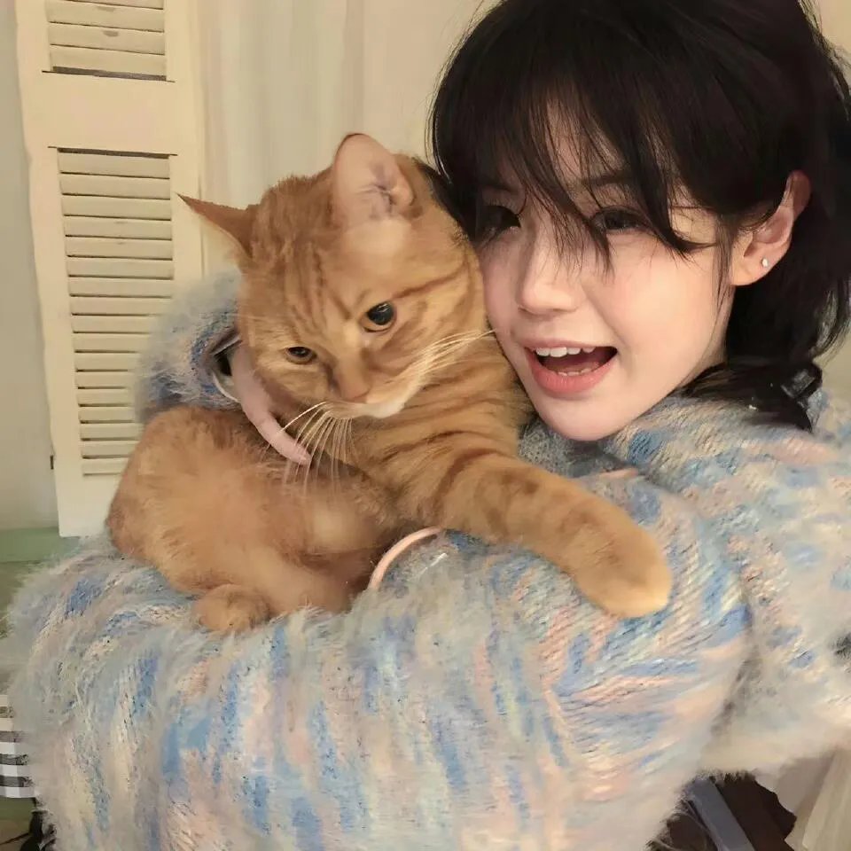 阴谋：亲爱的艾格尼丝